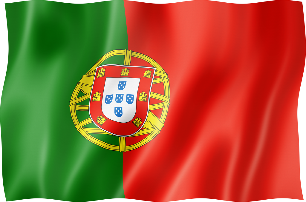 Portuguese flag isolated on white